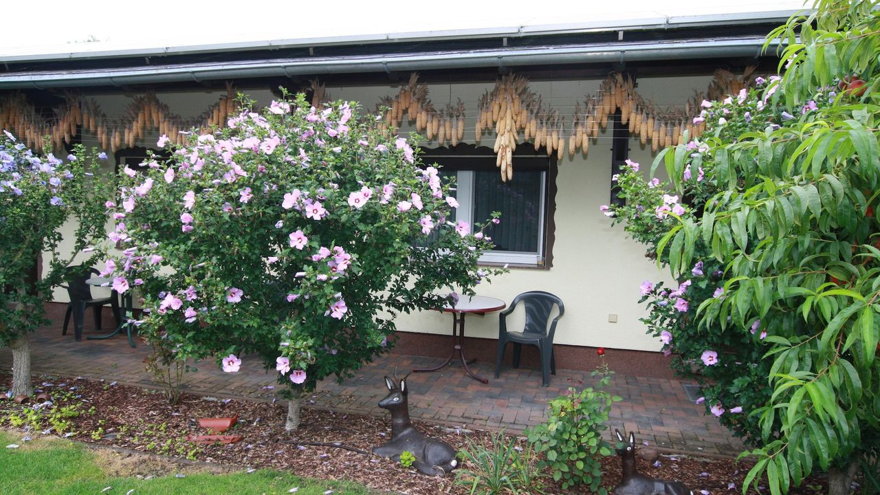 ExteriorSummer ExteriorSummer